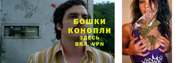 дживик Арсеньев