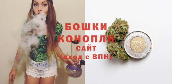 молекула духа Лихославль