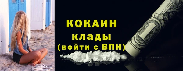 дживик Арсеньев