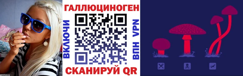 Псилоцибиновые грибы прущие грибы Снежинск